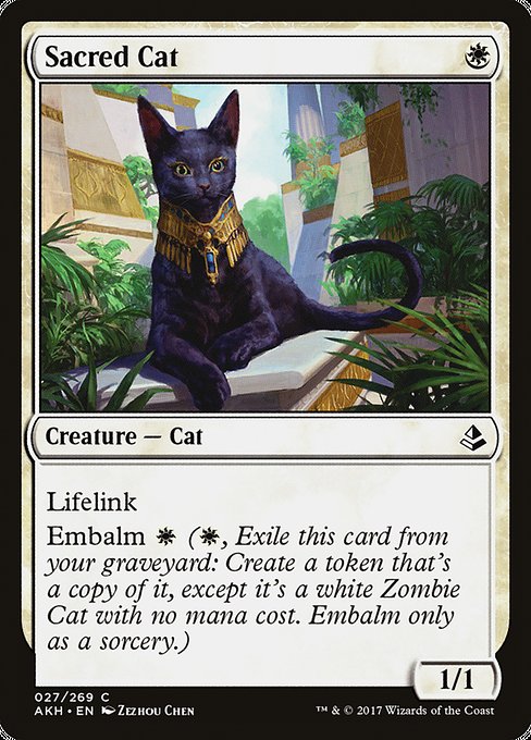 Sacred Cat (Amonkhet)
