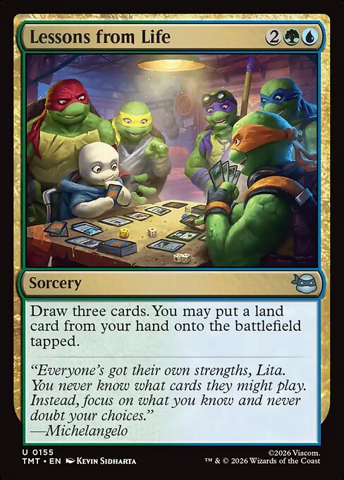 Lessons from Life (Teenage Mutant Ninja Turtles)