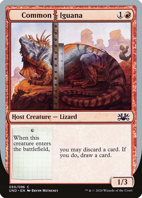 Common Iguana (Unsanctioned)