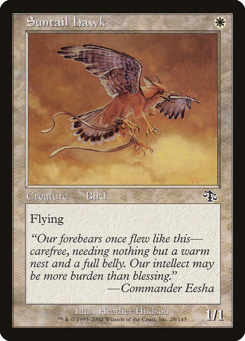 Suntail Hawk (Judgment)
