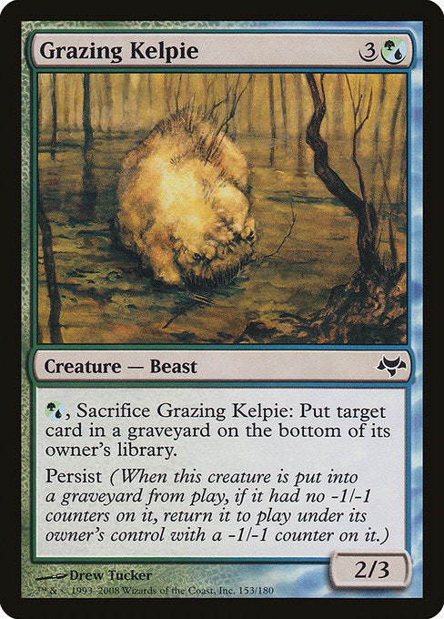 Grazing Kelpie (Eventide)