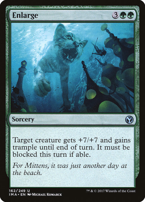 Enlarge (Iconic Masters)