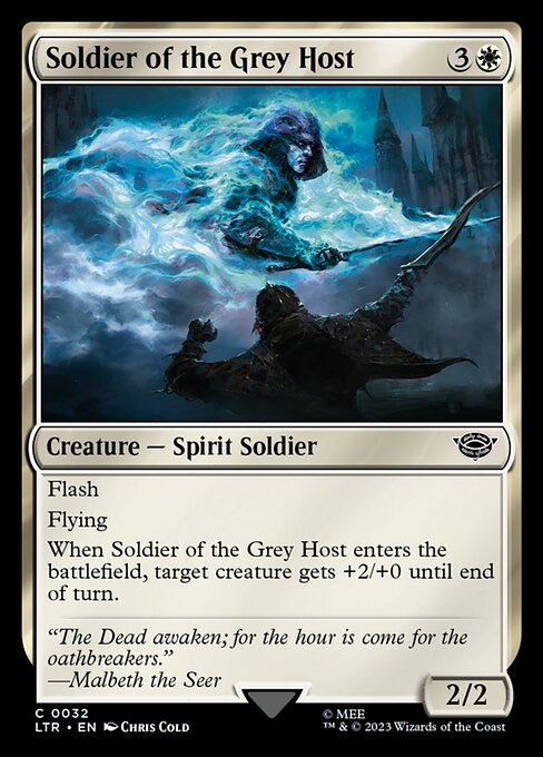 Soldier of the Grey Host (The Lord of the Rings: Tales of Middle-earth)