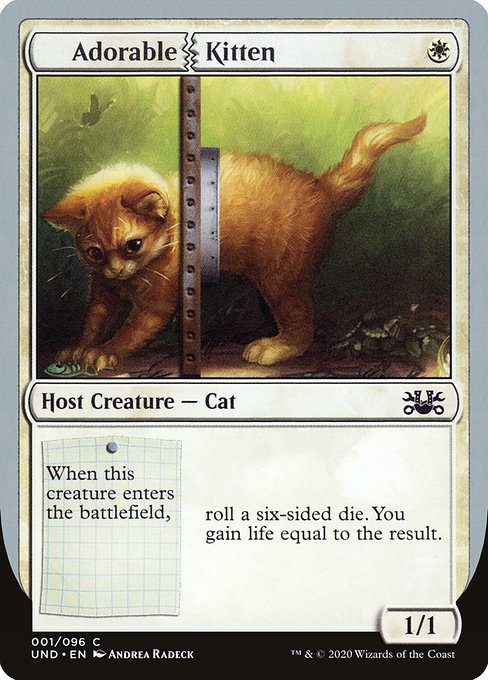 Adorable Kitten (Unsanctioned)