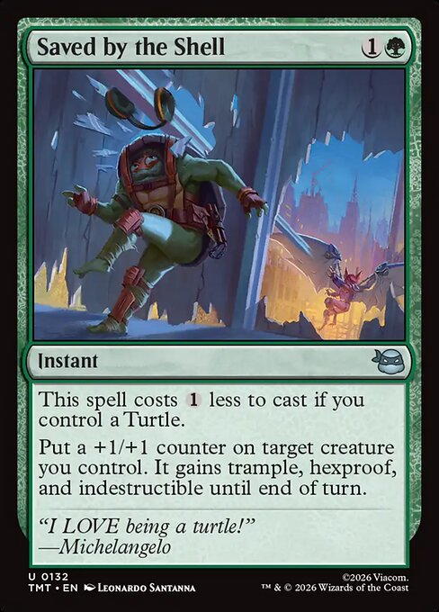 Saved by the Shell (Teenage Mutant Ninja Turtles)