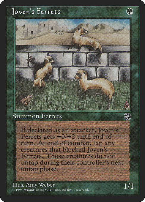 Joven's Ferrets (Homelands)