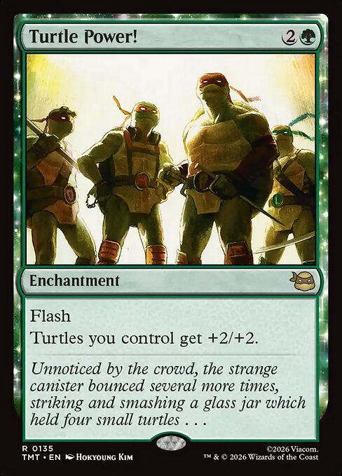 Turtle Power! (Teenage Mutant Ninja Turtles)