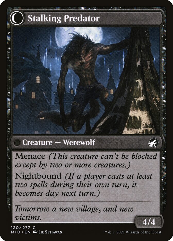 Shady Traveler // Stalking Predator (Innistrad: Midnight Hunt)