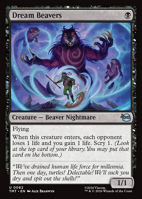 Dream Beavers (Teenage Mutant Ninja Turtles)