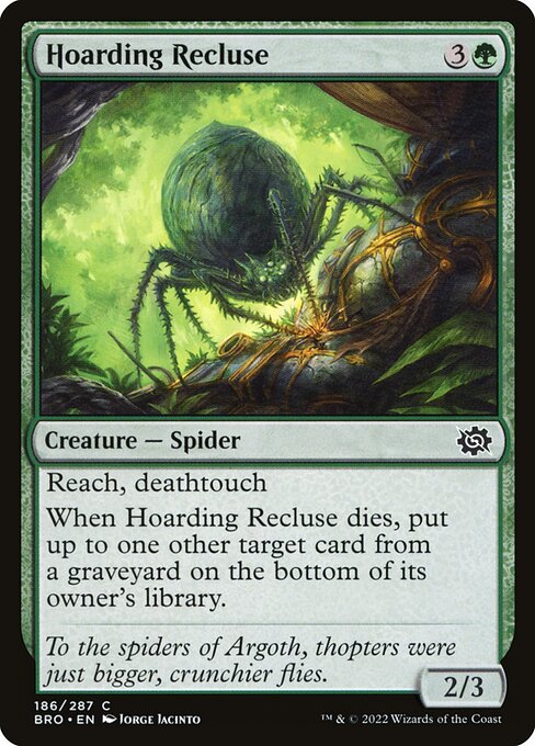 Hoarding Recluse (The Brothers' War)