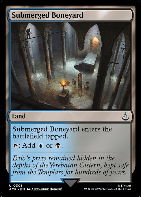 Submerged Boneyard (Assassin's Creed)