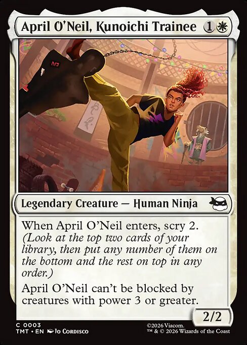 April O'Neil, Kunoichi Trainee (Teenage Mutant Ninja Turtles)