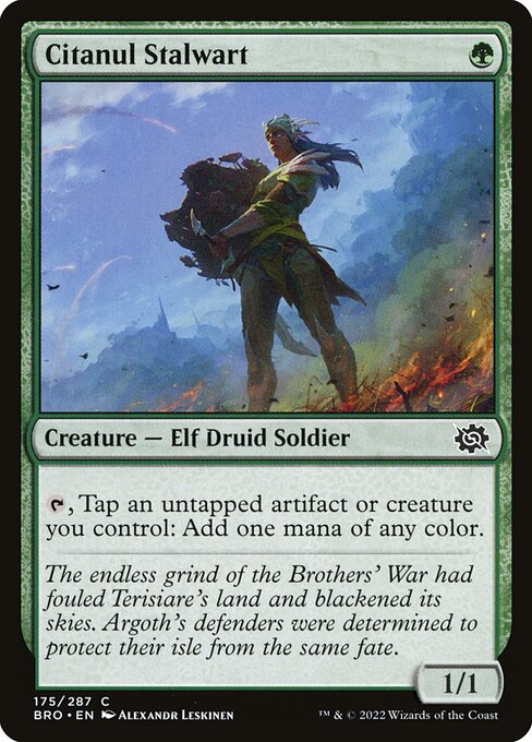 Citanul Stalwart (The Brothers' War)