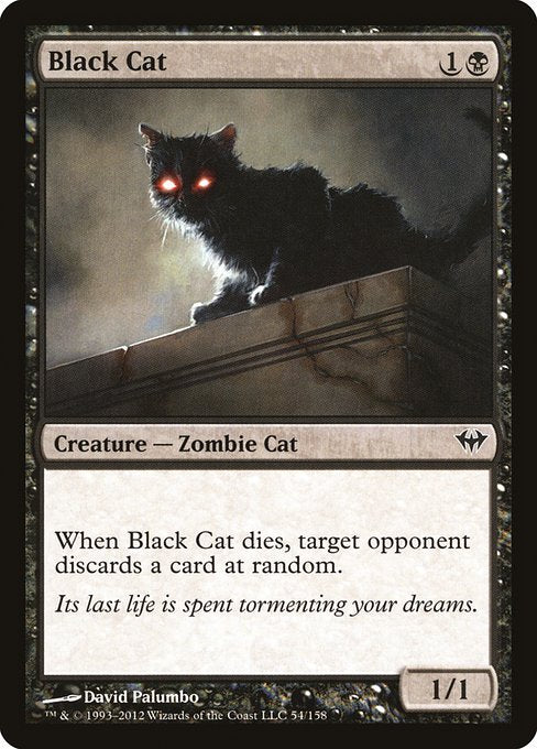 Black Cat (Dark Ascension)